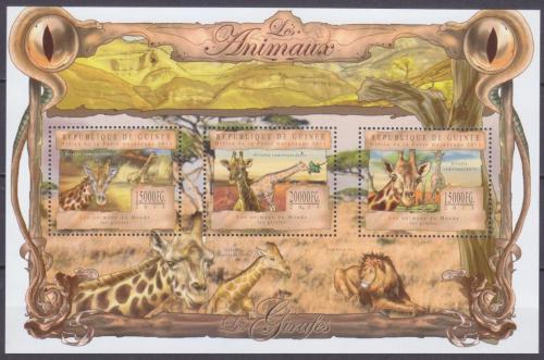 Poštovní známky Guinea 2013 Žirafy Mi# 9829-31 Kat 20€