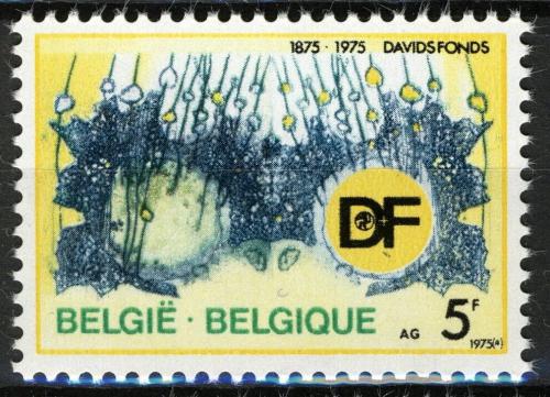 Poštovní známka Belgie 1975 Davidùv fond, 100. výroèí Mi# 1809