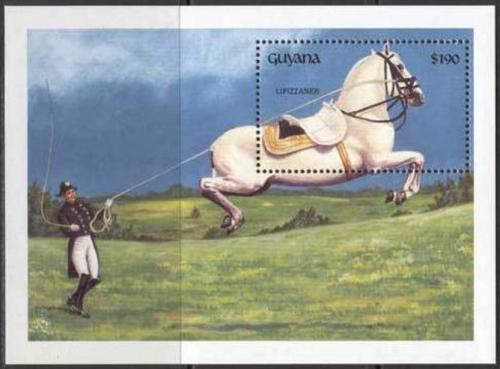 Poštovní známka Guyana 1992 Drezura konì Mi# Block 200 Kat 9.50€