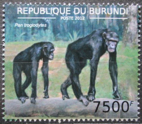 Potovn znmka Burundi 2012 impanz uenliv Mi# 2857