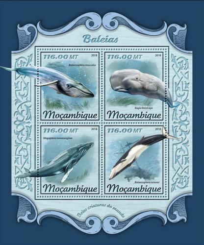 Poštovní známky Mosambik 2018 Velryby Mi# 9324-27 Kat 25€
