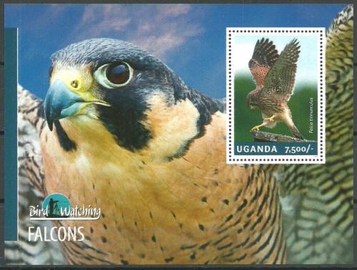 Poštovní známka Uganda 2014 Dravci Mi# Block 457 Kat 9€