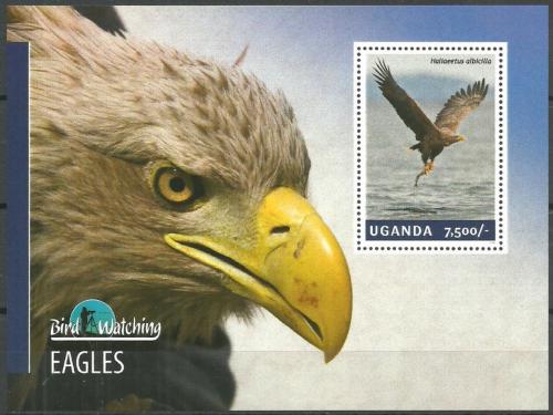 Poštovní známka Uganda 2014 Orli Mi# Block 459 Kat 9€