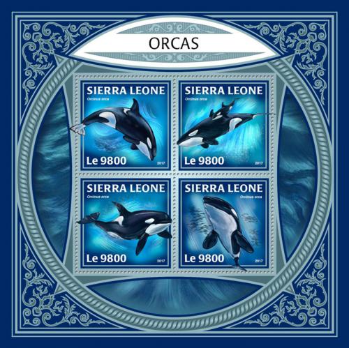 Poštovní známky Sierra Leone 2017 Kosatky Mi# 9205-08 Kat 11€