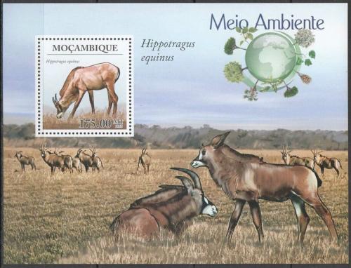 Poštovní známka Mosambik 2010 Antilopa koòská, WWF Mi# Block 316 Kat 10€