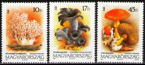 Poštovní známky Maïarsko 1993 Houby Mi# 4247-49