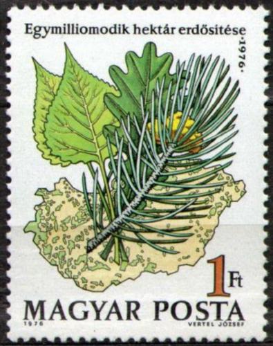 Poštovní známka Maïarsko 1976 Zalesòování Mi# 3170