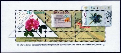 Poštovní známky Nizozemí 1988 FILACEPT výstava Mi# Block 31