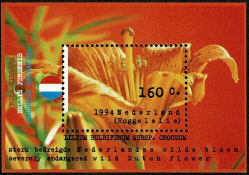 Poštovní známka Nizozemí 1994 Kvìtiny Mi# Block 40