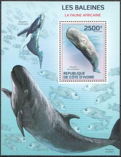 Poštovní známka Pobøeží Slonoviny 2014 Velryby Mi# Block 204 Kat 11€