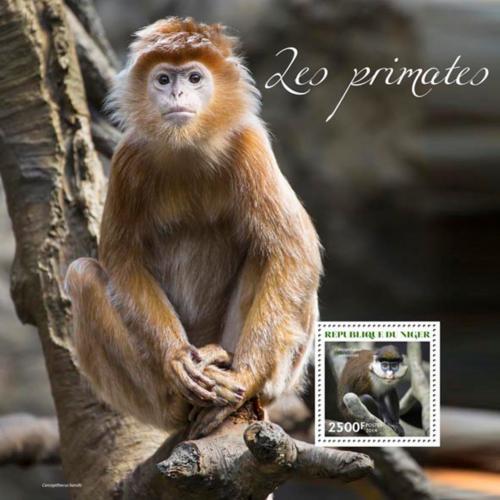 Poštovní známka Niger 2014 Opice Mi# Mi# Block 335 Kat 10€