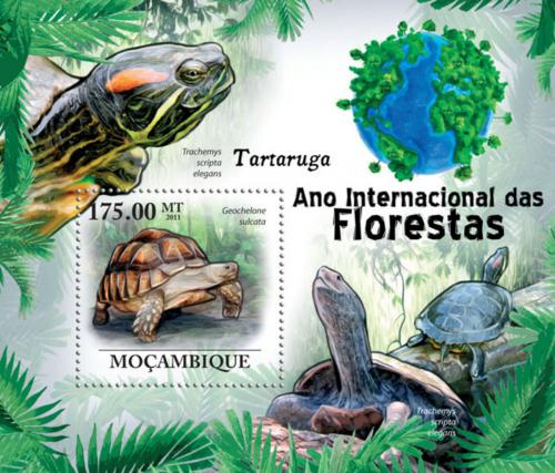 Poštovní známka Mosambik 2011 Želvy Mi# Block 411 Kat 10€