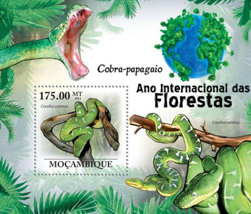 Poštovní známka Mosambik 2011 Psohlavec zelený Mi# Block 412 Kat 10€