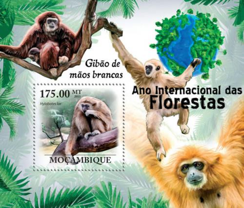 Poštovní známka Mosambik 2011 Gibon lar Mi# Block 427 Kat 10€