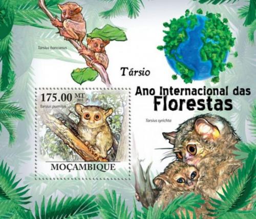 Poštovní známka Mosambik 2011 Nártouni Mi# Block 430 Kat 10€