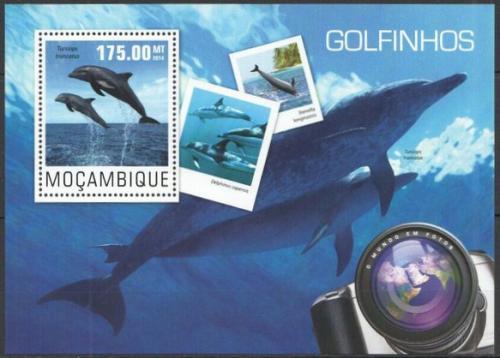 Poštovní známka Mosambik 2014 Delfíni Mi# Block 965 Kat 10€