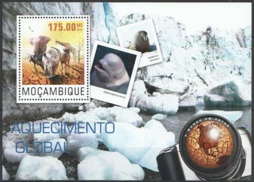 Poštovní známka Mosambik 2014 Globální oteplování Mi# Block 966 Kat 10€