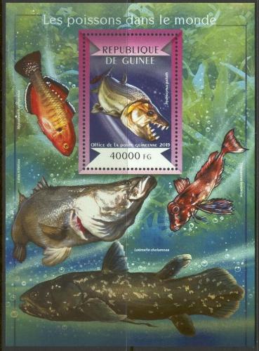 Poštovní známka Guinea 2015 Ryby Mi# Block 2479 Kat 16€