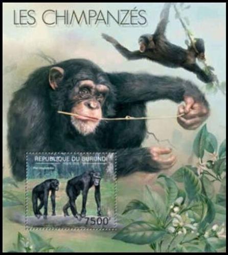 Poštovní známka Burundi 2012 Šimpanz uèenlivý Mi# Mi# Block 295 Kat 9€