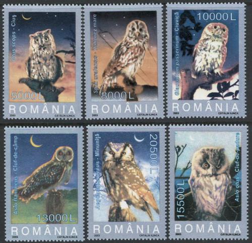 Poštovní známky Rumunsko 2003 Sovy Mi# 5729-34