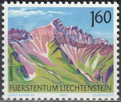 Poštovní známka Lichtenštejnsko 1992 Schwarzhorn Mi# 1038