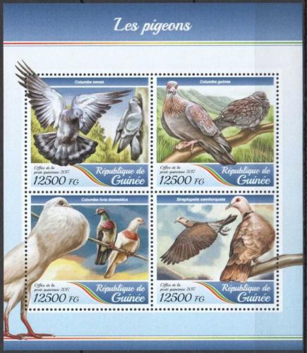 Poštovní známky Guinea 2017 Holubi Mi# 12570-73 Kat 20€