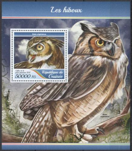 Poštovní známka Guinea 2017 Sovy Mi# Block 2811 Kat 20€