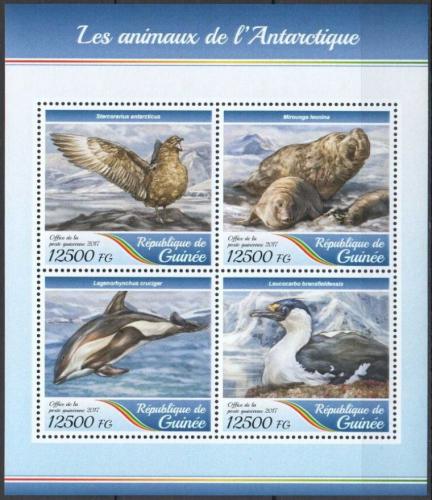 Poštovní známky Guinea 2017 Polární fauna Mi# 12580-83 Kat 20€