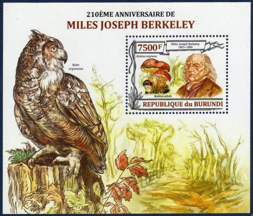 Poštovní známka Burundi 2013 Sovy a houby, M. J. Berkeley Mi# Block 358 Kat 9€