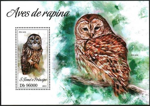 Poštovní známka Svatý Tomáš 2013 Puštík proužkovaný Mi# Block 915 Kat 10€