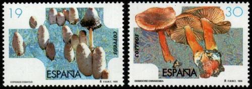 Poštovní známky Španìlsko 1995 Houby Mi# 3199-3200