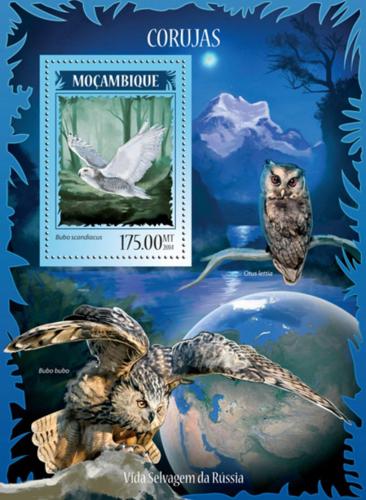 Poštovní známka Mosambik 2014 Sovy Mi# Block 899 Kat 10€