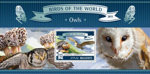 Poštovní známka Maledivy 2015 Sovy Mi# Block 827 Kat 9€
