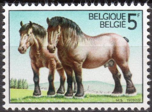 Poštovní známka Belgie 1976 Konì Mi# 1862