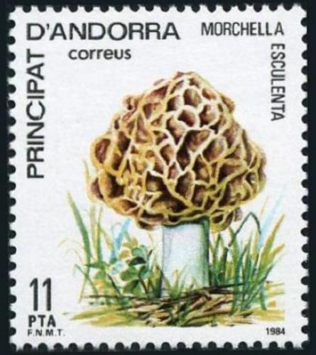 Poštovní známka Andorra Šp. 1984 Smrž obecný Mi# 178 Kat 8€