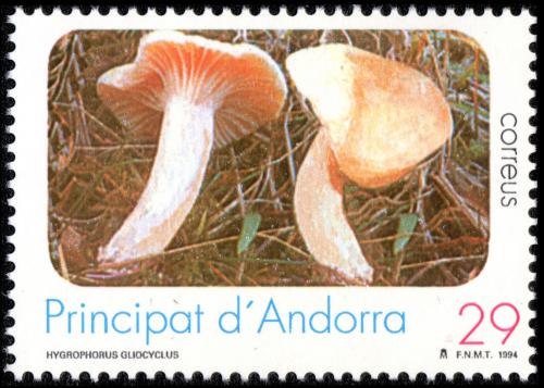 Poštovní známka Andorra Šp. 1994 Š�avnatka slizoprstenná Mi# 239