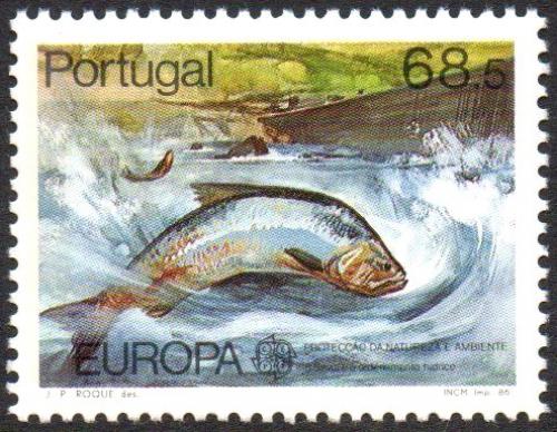 Poštovní známka Portugalsko 1986 Evropa CEPT, ochrana pøírody Mi# 1690