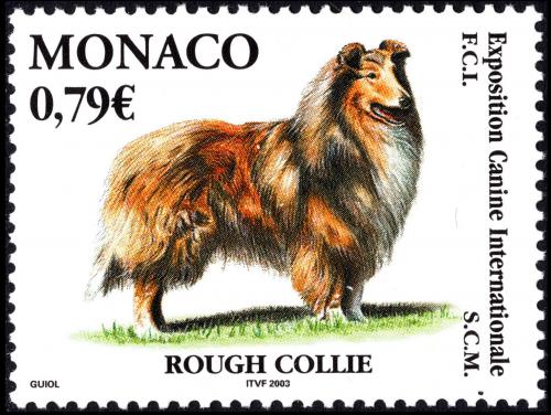 Poštovní známka Monako 2003 Kolie dlouhosrstá Mi# 2642