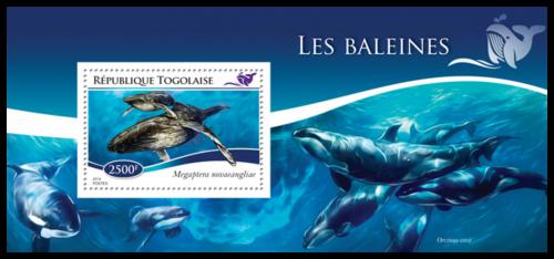 Poštovní známka Togo 2014 Velryby Mi# Block 1103 Kat 10€