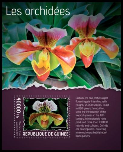 Potovn znmka Guinea 2014 Orchideje Mi# Block 2339 Kat 16