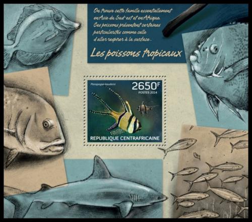 Poštovní známka SAR 2014 Ryby Mi# Block 1138 Kat 12€