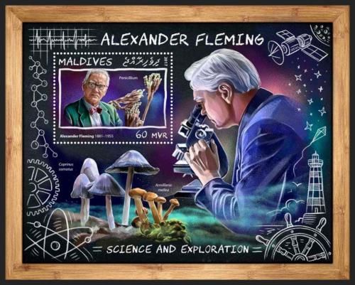 Poštovní známka Maledivy 2017 Alexander Fleming Mi# Block 1076 Kat 7.50€