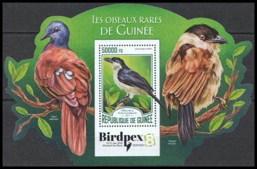 Potovn znmka Guinea 2017 Vzcn ptci Mi# Block 2799 Kat 20 - zvtit obrzek