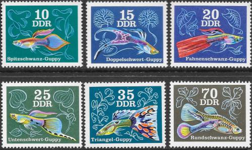 Poštovní známky DDR 1976 Ryby Mi# 2176-81