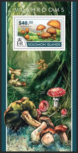 Poštovní známka Šalamounovy ostrovy 2015 Houby Mi# Block 401 Kat 14€