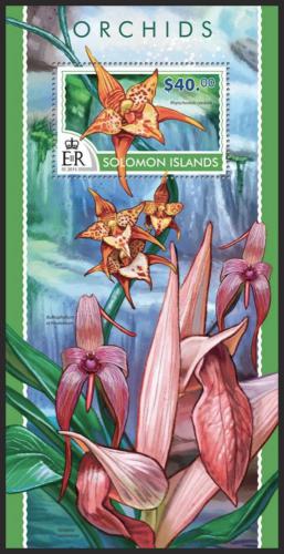 Poštovní známka Šalamounovy ostrovy 2015 Orchideje Mi# Block 420 Kat 14€