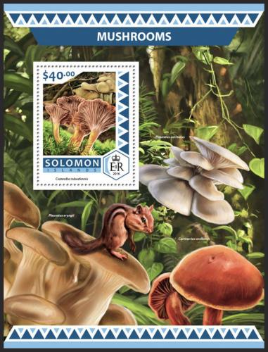 Poštovní známka Šalamounovy ostrovy 2016 Houby Mi# Block 577 Kat 12€