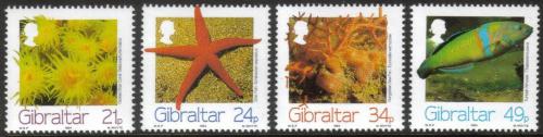 Potovn znmky Gibraltar 1994 Mosk fauna Mi# 696-99 Kat 6.50