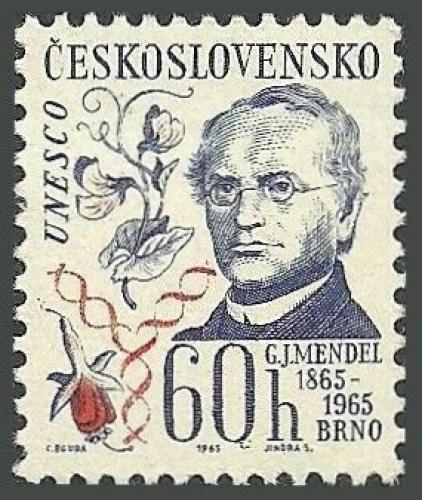 Potovn znmka eskoslovensko 1965 Gregor Mendel, prodovdec Mi# 1557 - zvtit obrzek