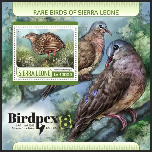 Potovn znmka Sierra Leone 2017 Vzcn ptci Mi# Block 1255 Kat 11